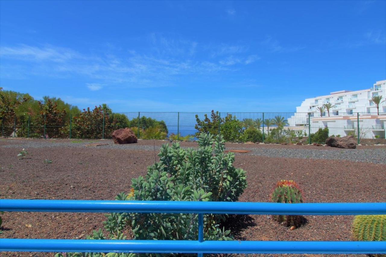 Agreable Appartement Au Bord De L' Ocean, Playa Paraiso 阿德耶 外观 照片